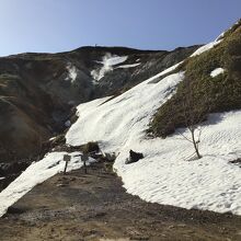 立ち入り禁止の地域の手前から。