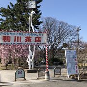 桜の名所