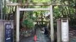 小田原城の中にあります