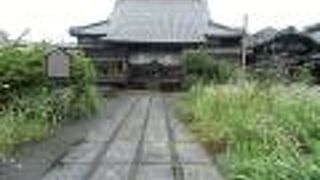 多彩な花が綺麗な境内