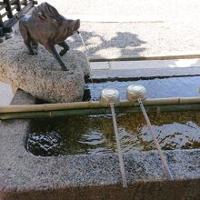 いのししがかわいいですよ。