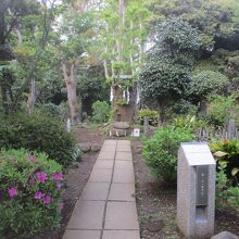 江島神社 奥津宮 亀石