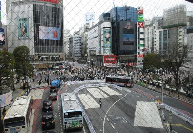 Magnet By Shibuya109 クチコミ アクセス 営業時間 渋谷 フォートラベル