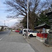 貫前神社、あちこちに駐車場。