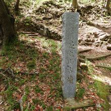 芝丸山古墳の石碑