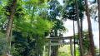 朝ドラ「カムカムエヴリバディ」のロケ地として使われた神社です