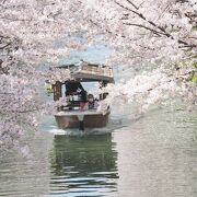 桜の時期がお勧め