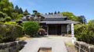 観光できるの？