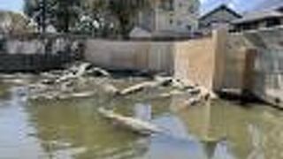 ワニのいる地獄