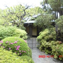 落ち着いた雰囲気