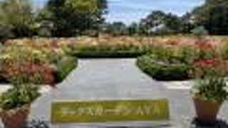 昨年よりスケールダウン