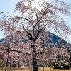 滋賀県立近江富士花緑公園