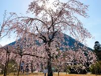 滋賀県立近江富士花緑公園