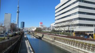 スカイツリーがよく見える