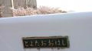 橋上から眺めた桜が綺麗でした