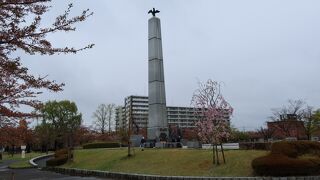桜の花には間に合わず