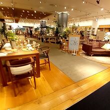 アクタス (ららぽーと豊洲店)