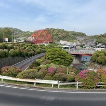 花がきれいです