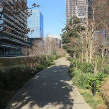 進む通路の左右には緑が一杯