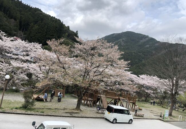 ふれあい公園オートキャンプ場