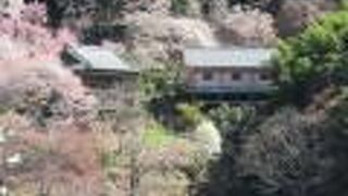 吉野中千本にある浄土宗寺院です