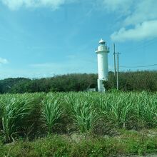 畑の中にポツンと灯台があるというシュールさが良いです