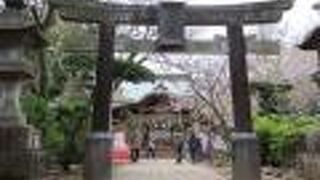 【伝頼朝寄進の鳥居】確かに古そうな鳥居でした