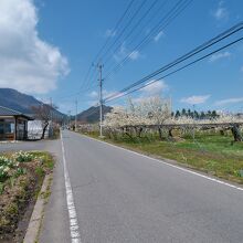 季節によってはリンゴ等のフルーツ狩りも楽しめます。