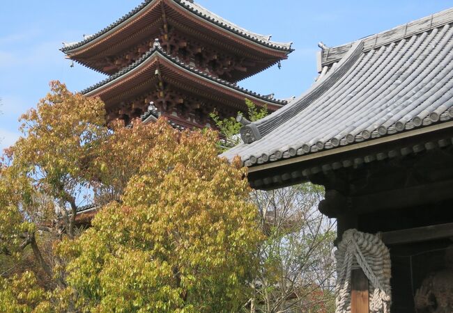 令和の大修理中　開創1400年の志度寺