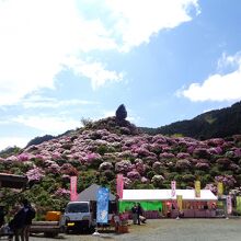 駐車場から見た星の花公園