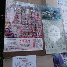 ポスターの写真も迫力があります。