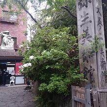 住宅街の中にひっそりとたたずんでます。竹久夢二館と合築。
