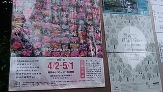 根津神社の境内を舞台に、華やかな花の祭典が毎春開催されています。