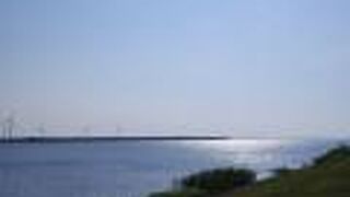 ヤマトシジミが生息している、海水と淡水が混合した汽水湖