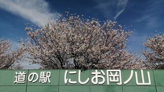 抹茶ソフトが大人気