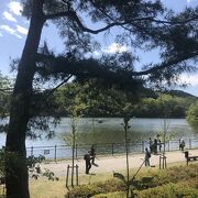 自然豊かな公園