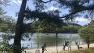 自然豊かな公園