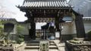 １０ｍの仏像が安置されています