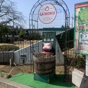 豚のテーマパーク