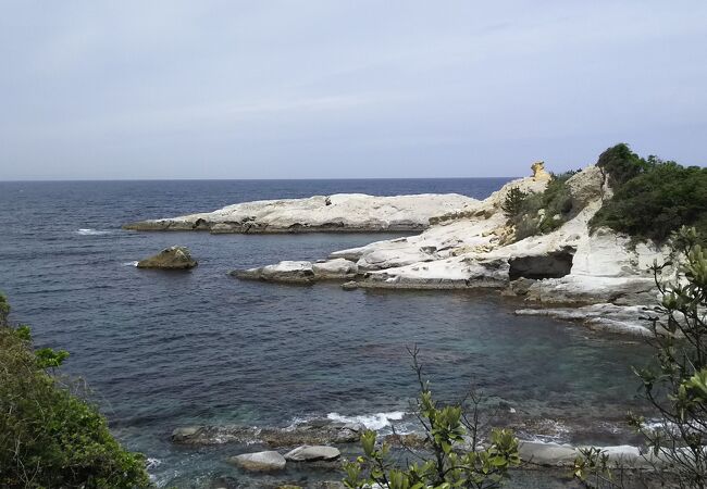 荒波砕ける複雑な地形の侵食海岸