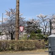 桜が綺麗な高田城址