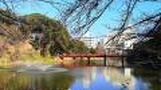 いろいろ楽しめる