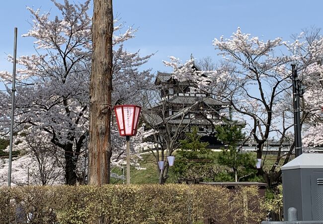 桜が綺麗な高田城址