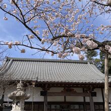 宝樹院