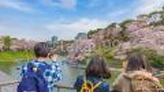 絶対に行きましょう。