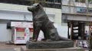 令和になるとハチ公のまわりだけ人がいない！？