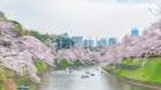 ベストの撮影スポットの一つです