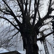 住宅街の中にあるお寺