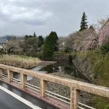 大原橋から見た早川