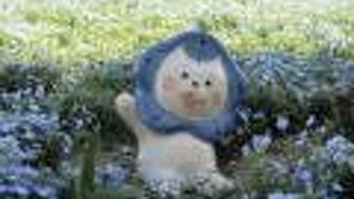 ネモフィラ祭り